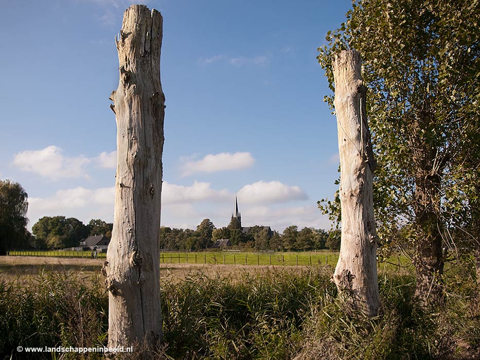  vituskerk 