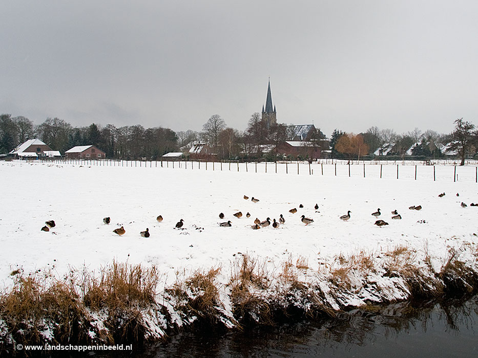  bouwvenen 