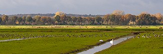 start landschappen Gooise stuwwal