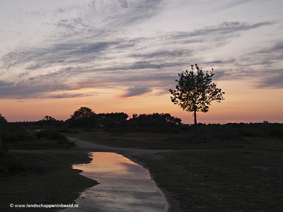  avondrood 