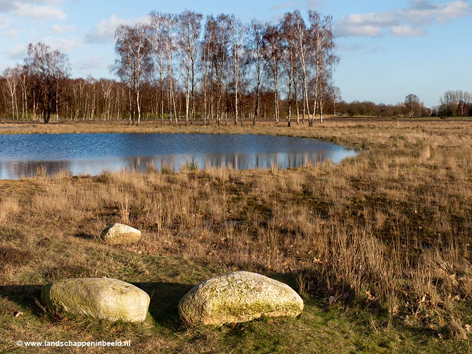  berkenbosje